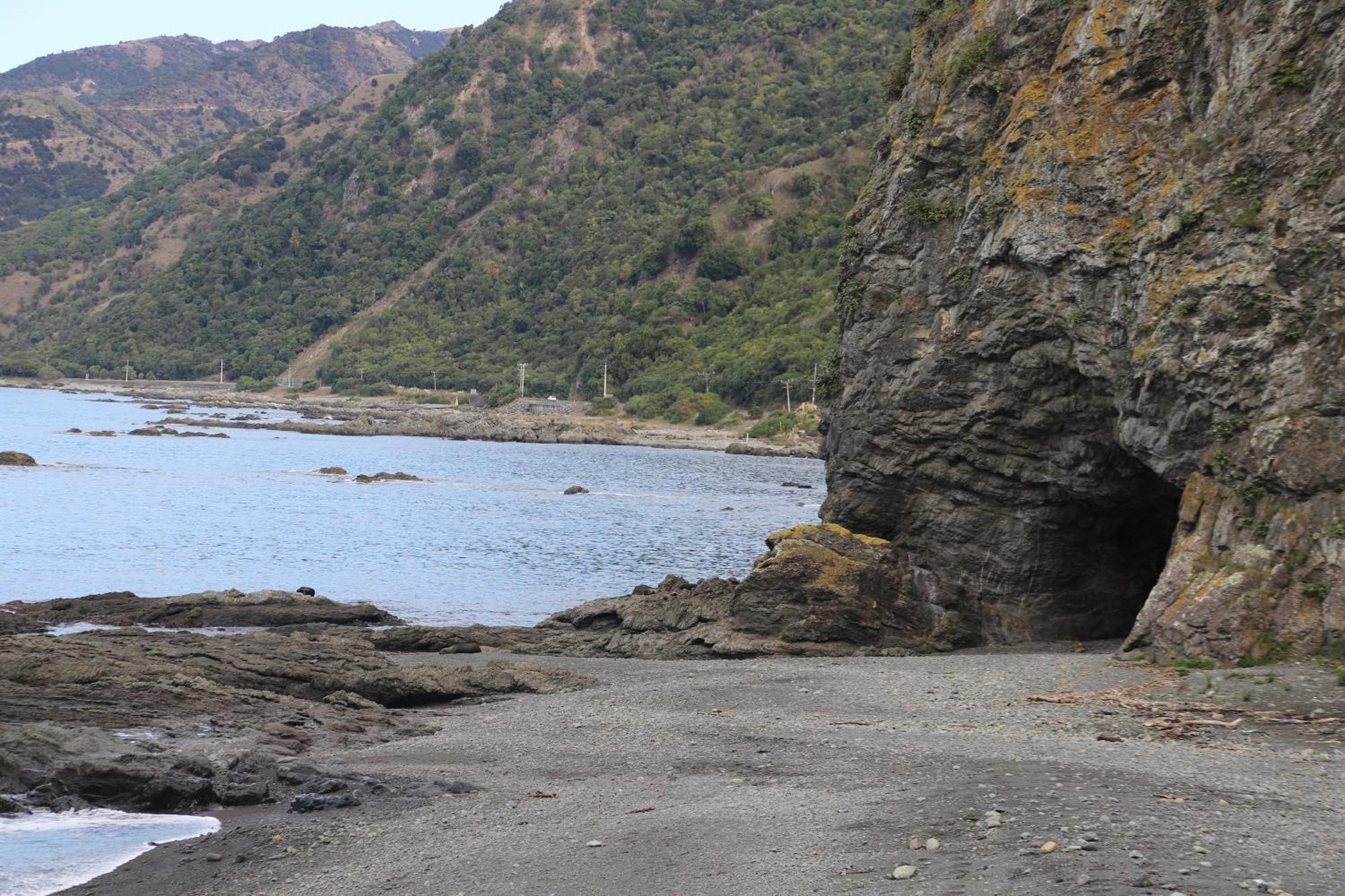 Sierra Beachfront Motel Kaikoura Ngoại thất bức ảnh