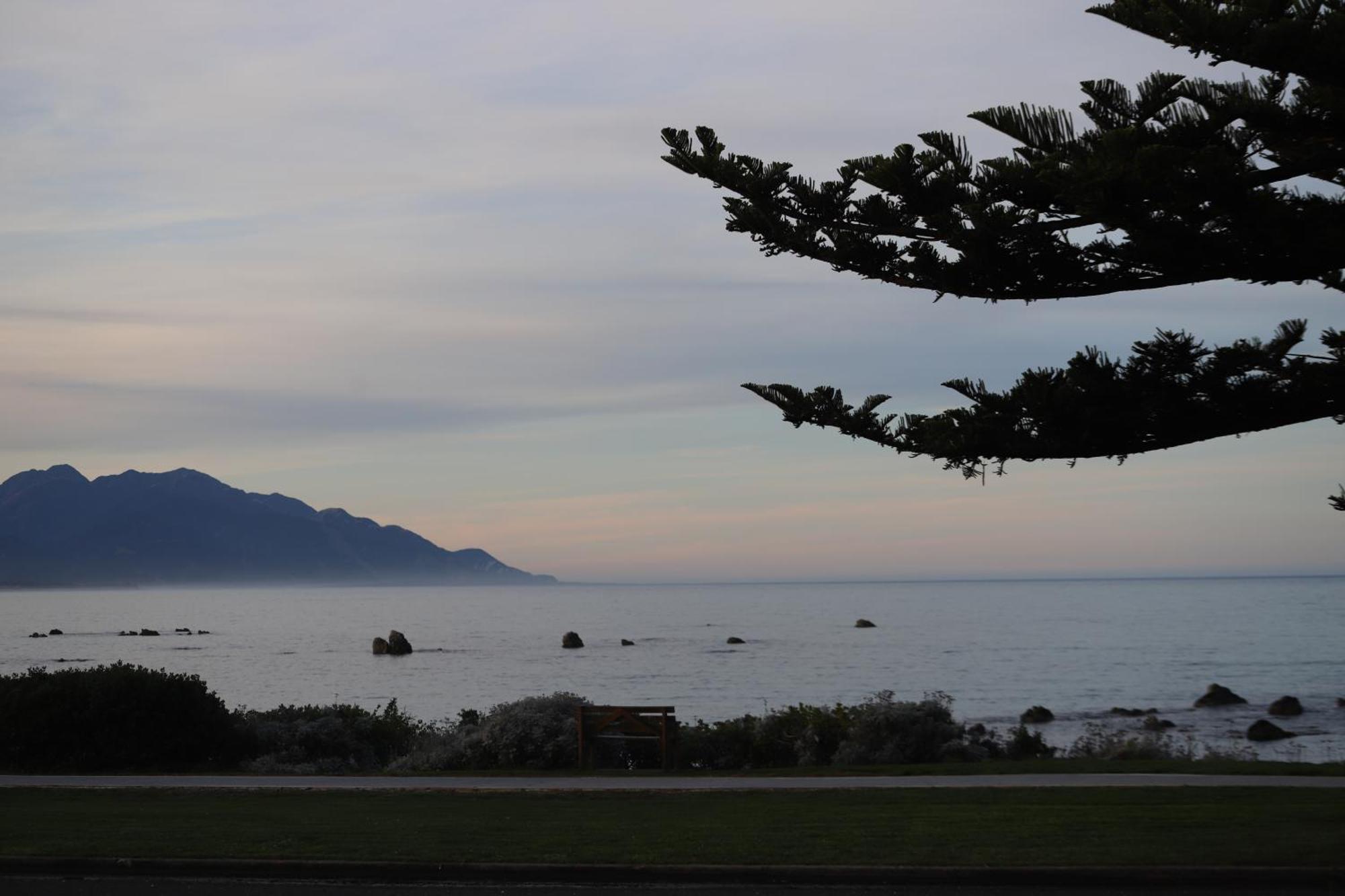 Sierra Beachfront Motel Kaikoura Ngoại thất bức ảnh